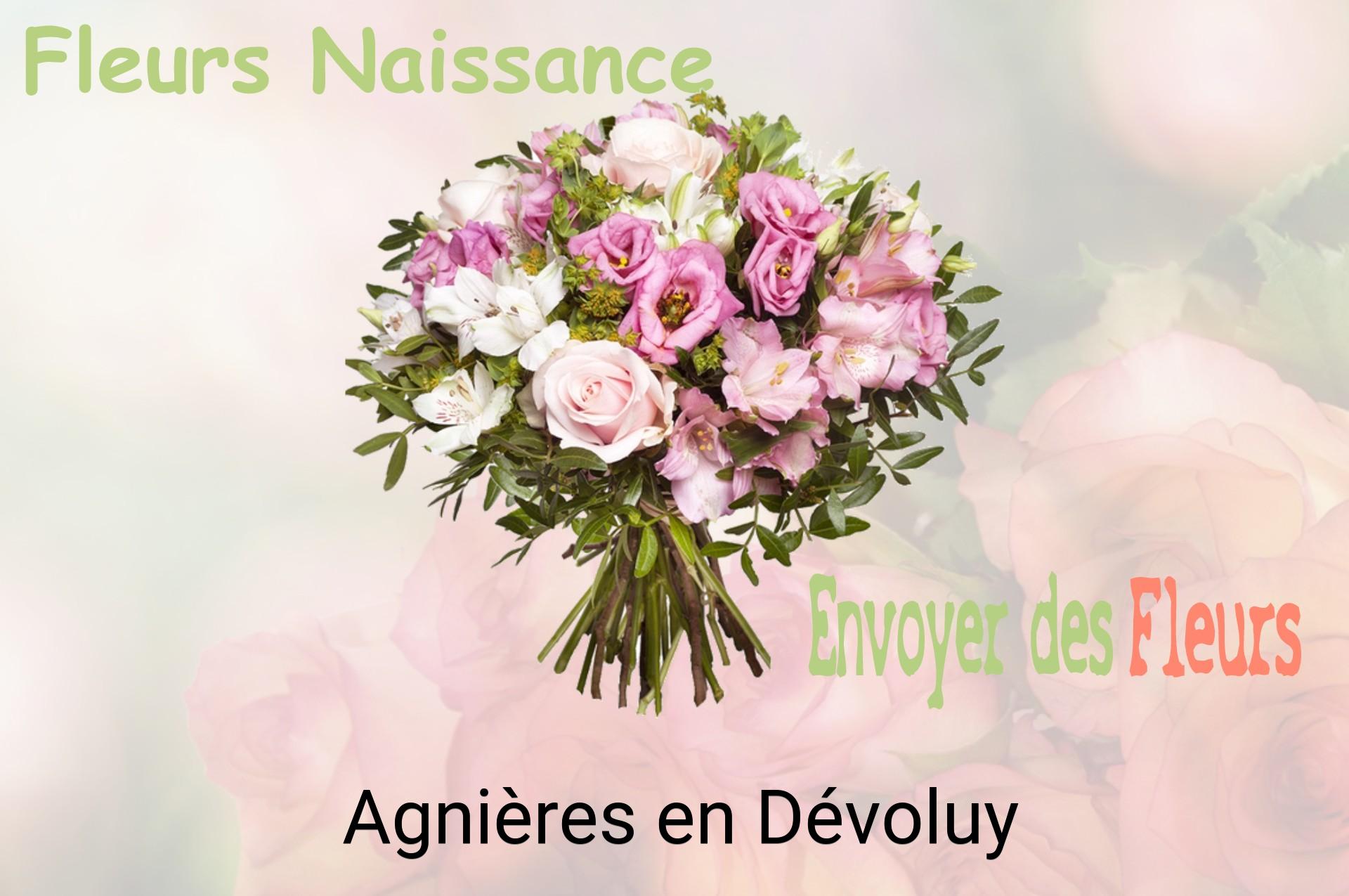 Bouquet de fleurs de naissance livré à Agnières-en-Dévoluy